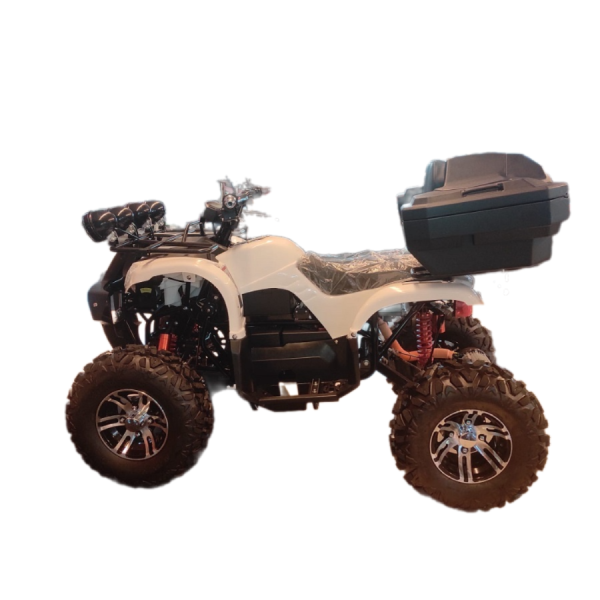 Remove-bg.ai_1733313195114