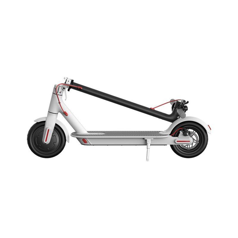 pms_1586937333.45774930